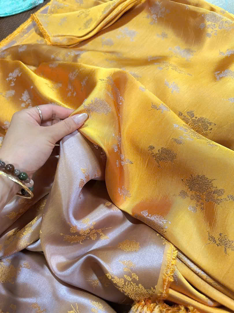 Hoa cúc đại đoá